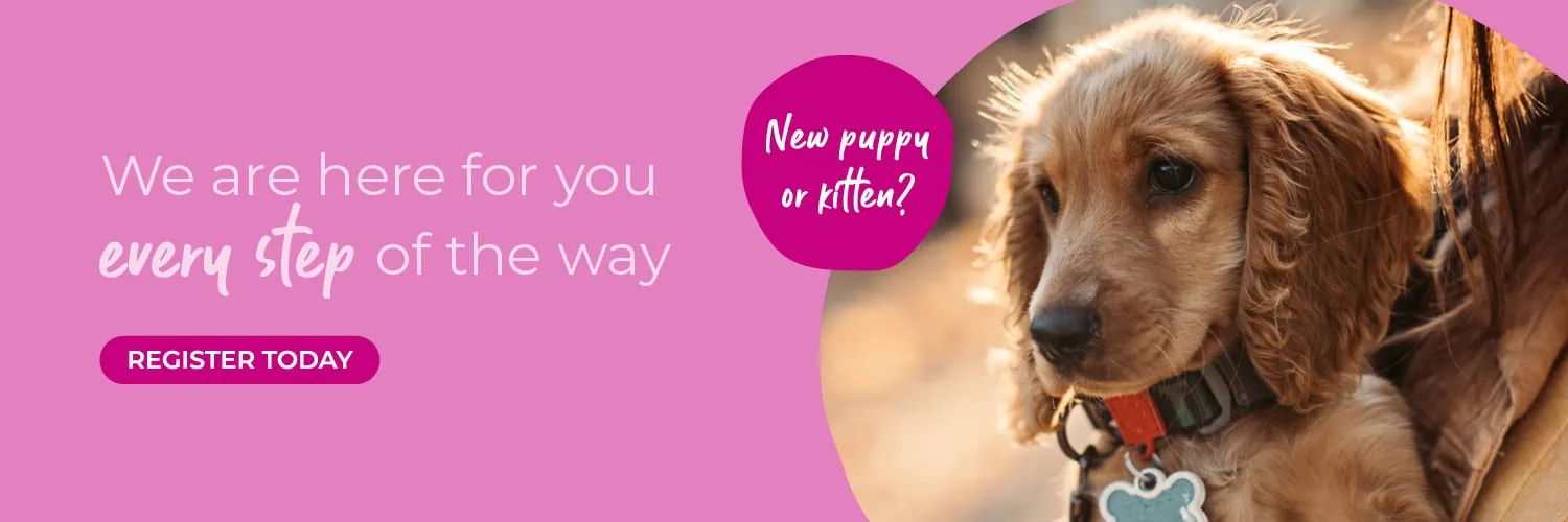 Broadway Vets in Wirral | Vets in Bebington | Vets in Wallasey