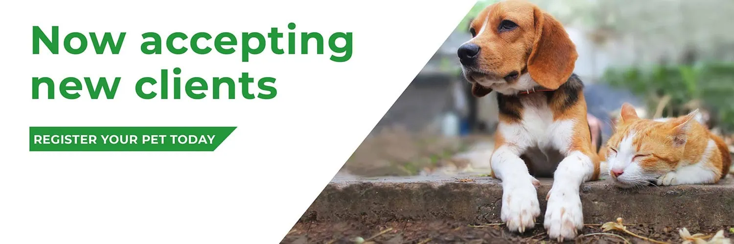 Broadway Vets in Wirral | Vets in Bebington | Vets in Wallasey