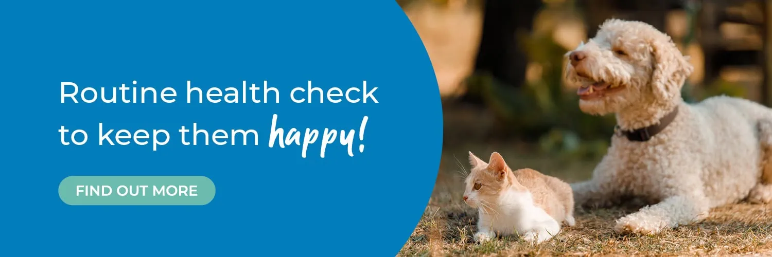 Broadway Vets in Wirral | Vets in Bebington | Vets in Wallasey