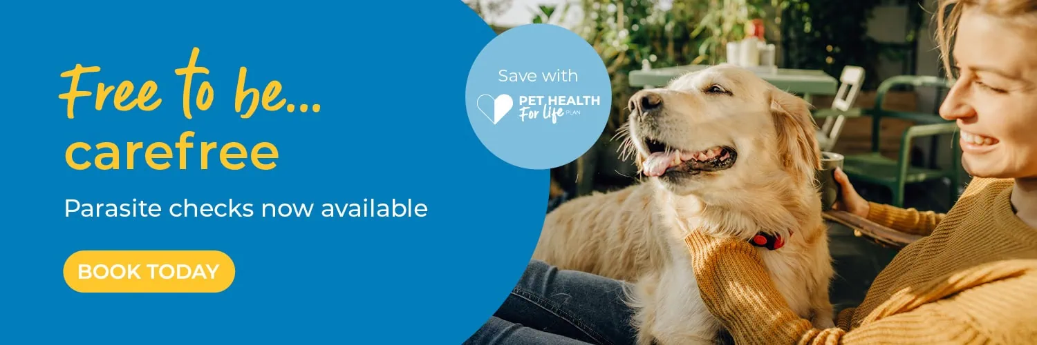 Broadway Vets in Wirral | Vets in Bebington | Vets in Wallasey