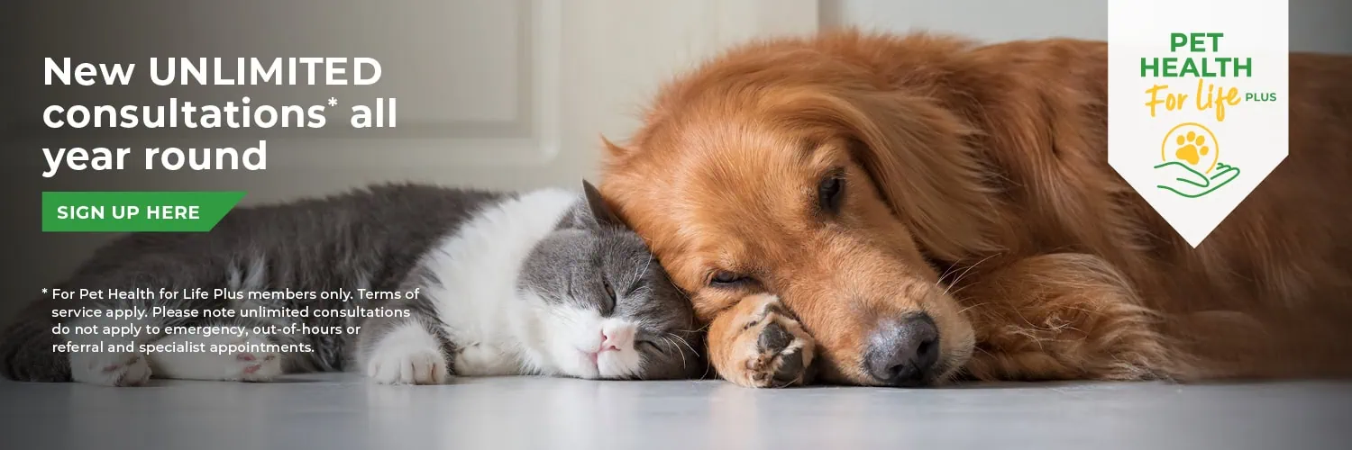 Broadway Vets in Wirral | Vets in Bebington | Vets in Wallasey
