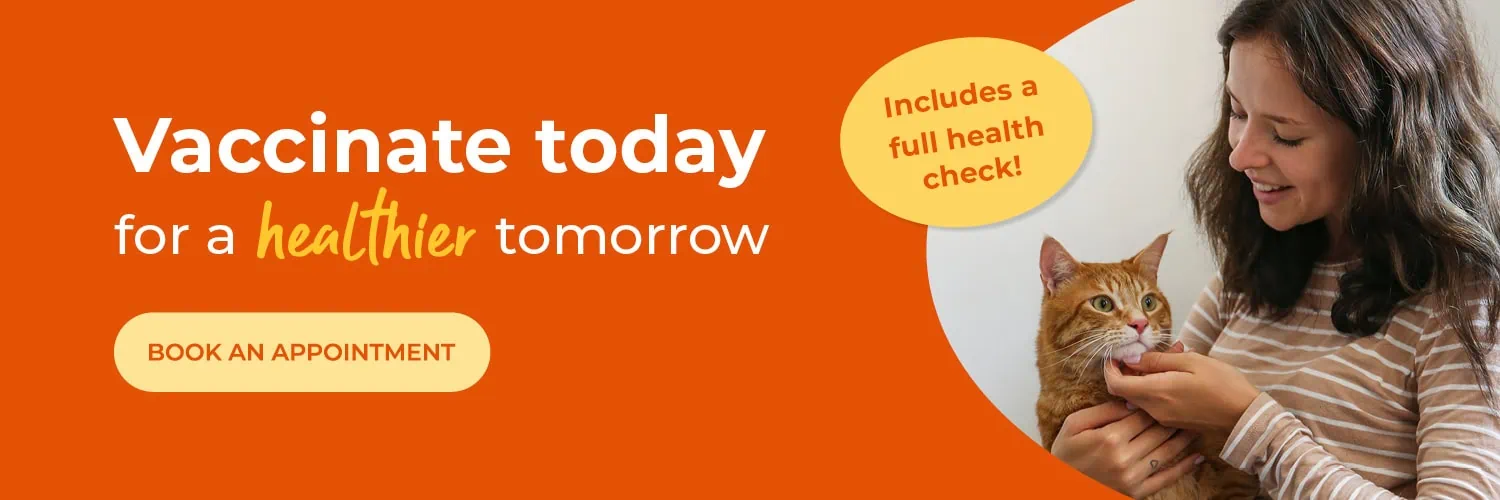 Broadway Vets in Wirral | Vets in Bebington | Vets in Wallasey